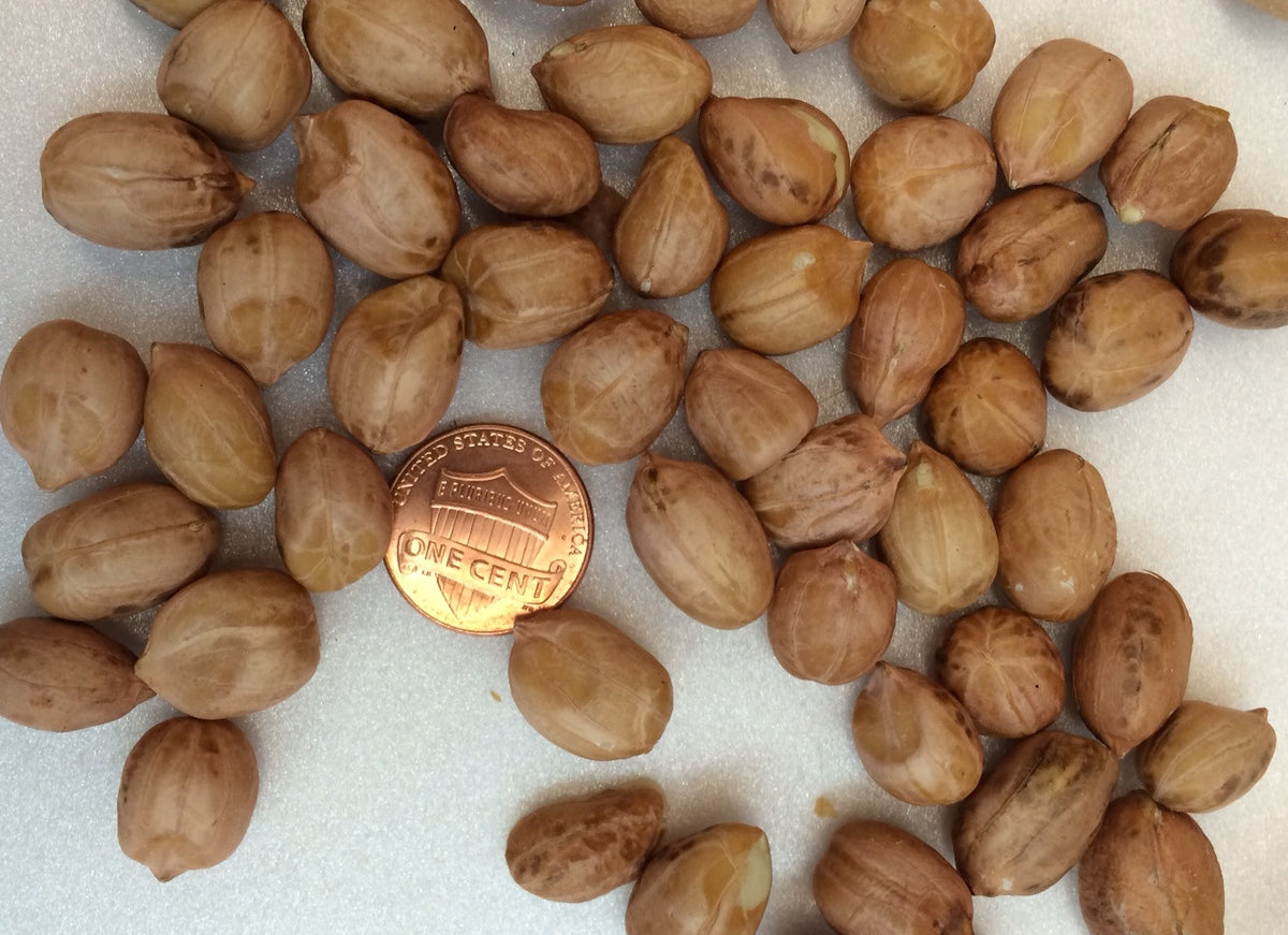 50-lbs-shelled-peanuts